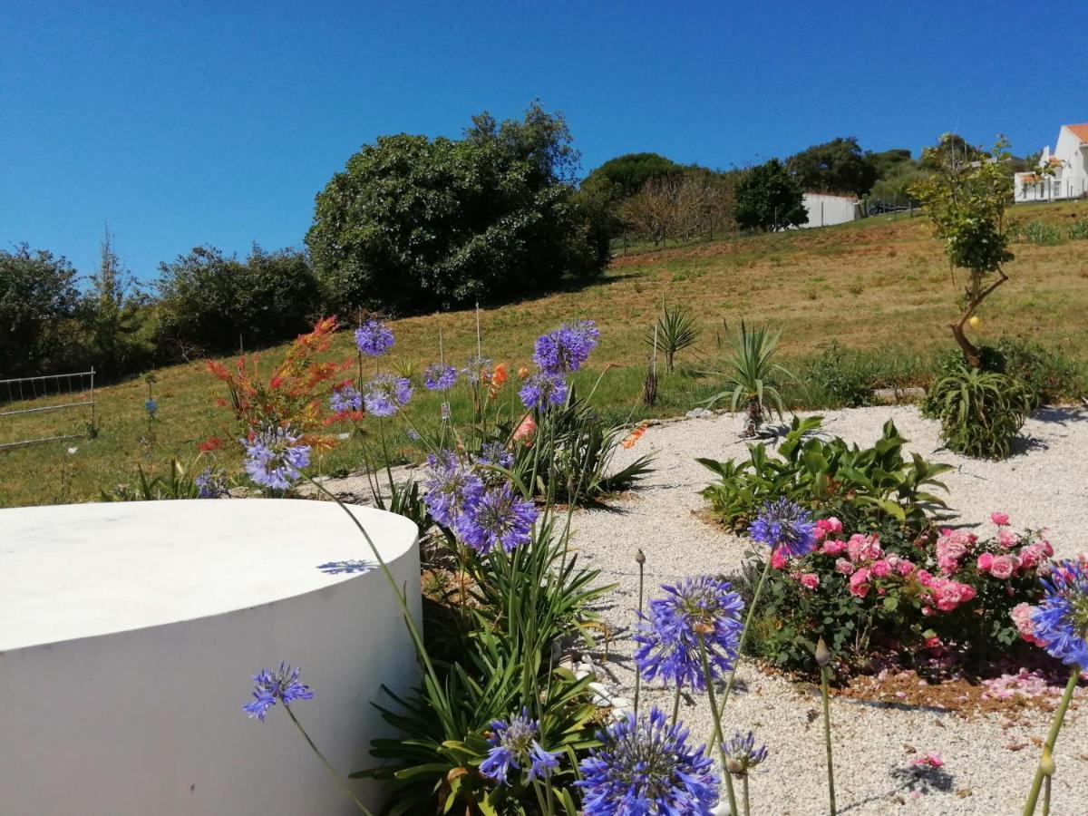 Bb Silvercoast Casa Das Flores Santa Catarina  Zewnętrze zdjęcie