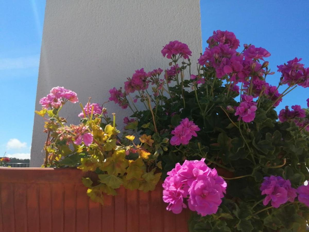 Bb Silvercoast Casa Das Flores Santa Catarina  Zewnętrze zdjęcie