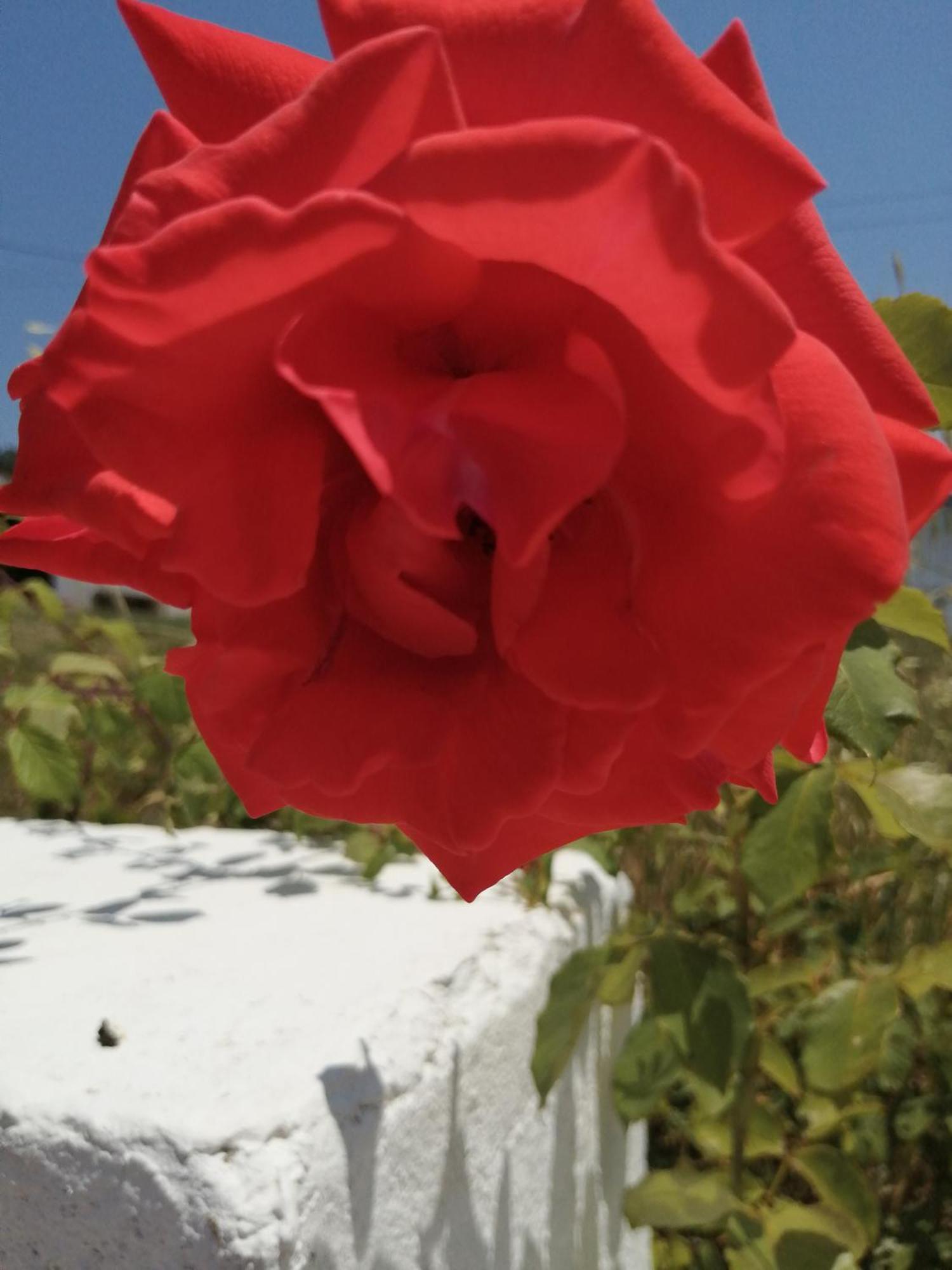 Bb Silvercoast Casa Das Flores Santa Catarina  Zewnętrze zdjęcie