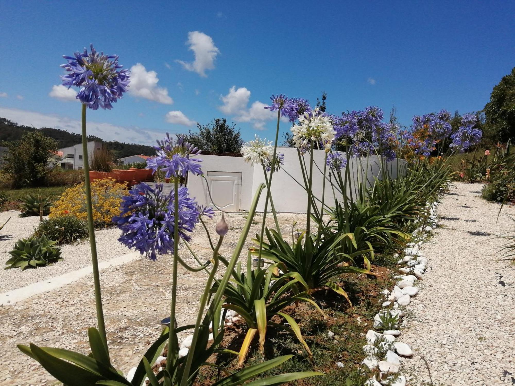 Bb Silvercoast Casa Das Flores Santa Catarina  Zewnętrze zdjęcie